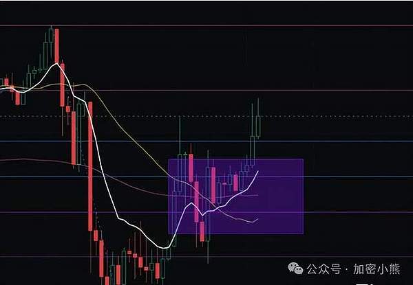 在新加坡，有这样一群不肯认输的Web3追梦人