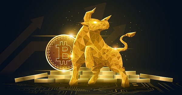 市场狂欢背后的冷静思考：当机构资金开始主导游戏规则