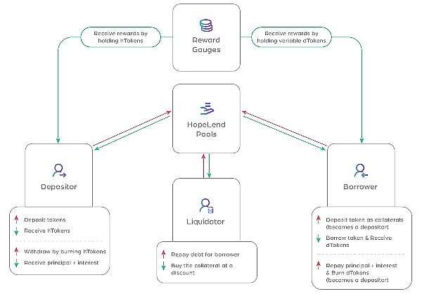 xPet现象：SocialFi新秀的机遇与隐忧