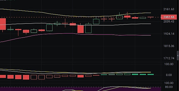 Rollbit：区块链赌场的狂欢背后，藏着多少猫腻？
