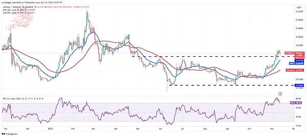 BCH何时能冲破300美元大关？资深分析师深度解析