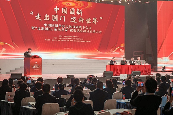 VIB代币暴涨背后：一场技术与市场心理的完美风暴