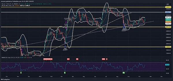金辉的实盘捷报：300点BTC盈利背后的交易智慧