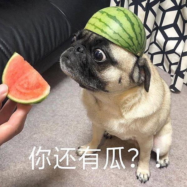 为什么Visa把USDC支付押注在Solana上？一位支付专家的深度解读